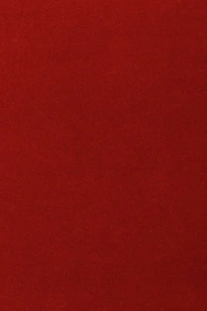 Ковровое покрытие AW Oinone 10 - (4м) в Кирове