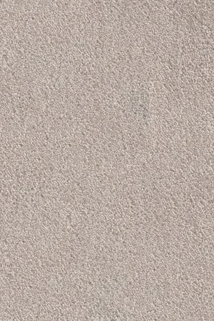 Ковровое покрытие AW Messalina 37 - (5м) в Кирове