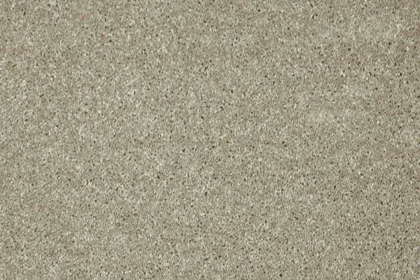 Ковровое покрытие AW Gala 03 - (4м) в Кирове