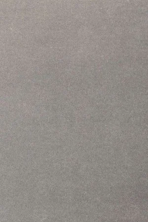 Ковровое покрытие AW Oinone 94 - (4м) в Кирове