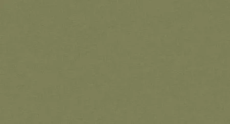 Обои Loymina Origins ALS10, 005/2 в Кирове