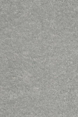 Ковровое покрытие AW Euphoria 92 - (5м) в Кирове