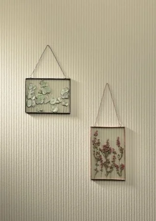 Обои Loymina Shade SD5, 002/1 в Кирове