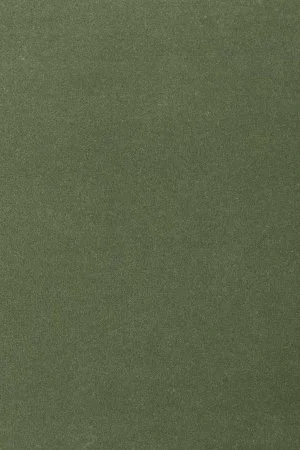 Ковровое покрытие AW Oinone 24 - (4м) в Кирове