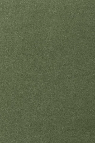 Ковровое покрытие AW Oinone 24 - (4м) в Кирове