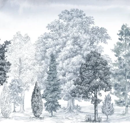 Обои Loymina Пейзаж vol. 2 ART14 006 в Кирове