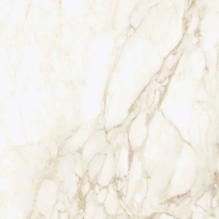 Керамогранит Coliseum Микеланджело Ворм 60х60 (Натуральный и Реттифицированный) в Кирове