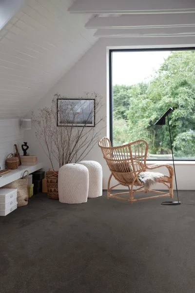 Ковровое покрытие AW Ganges 99 - (4м) в Кирове