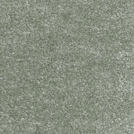 Ковровое покрытие AW Euphoria 28 - (5м) в Кирове