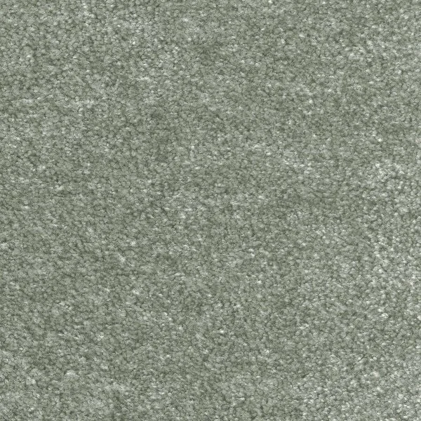 Ковровое покрытие AW Euphoria 28 - (5м) в Кирове