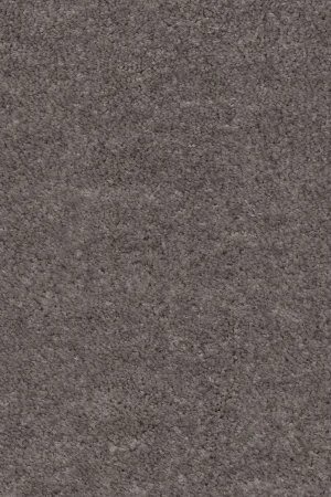 Ковровое покрытие AW Euphoria 45 - (5м) в Кирове