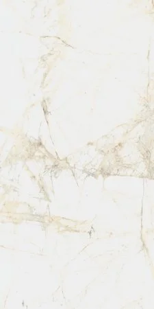 Керамогранит Coliseum Канова Уайт 60х120 (Натуральный и Реттифицированный) в Кирове