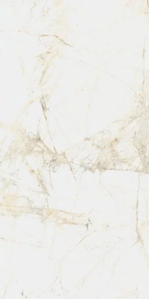 Керамогранит Coliseum Канова Уайт 60х120 (Натуральный и Реттифицированный) в Кирове