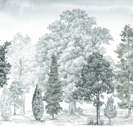 Обои Loymina Пейзаж vol. 2 ART14 011 в Кирове