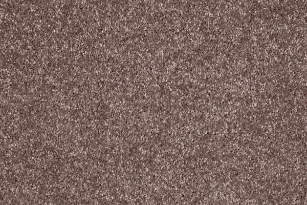 Ковровое покрытие AW Gala 60 - (5м) в Кирове