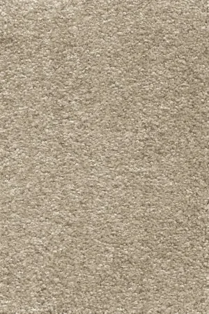 Ковровое покрытие AW Omnia 33 - (3м) в Кирове