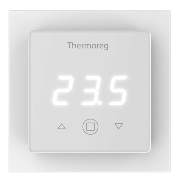 Терморегулятор Thermoreg TI-300 в Кирове